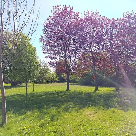 Saalendorf *